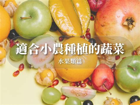 適合南部種植的果樹|南部適合種什麼水果？專家告訴你最佳選擇